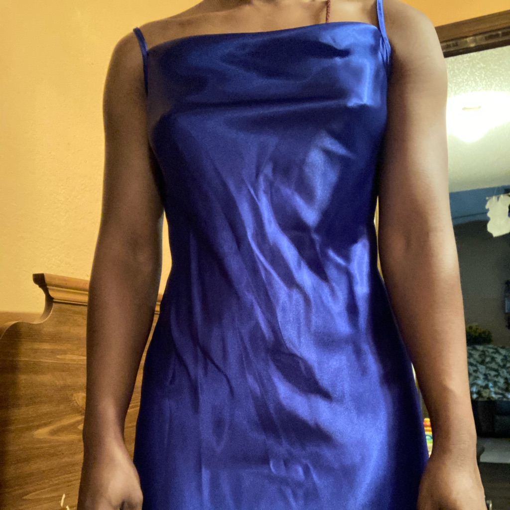 Bebe Slip Dress